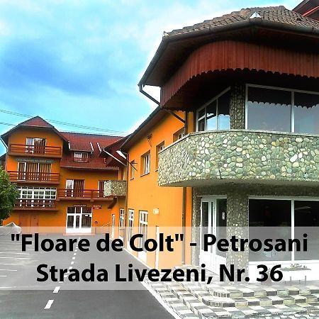 Floare De Colt Petrosani Hotell Exteriör bild