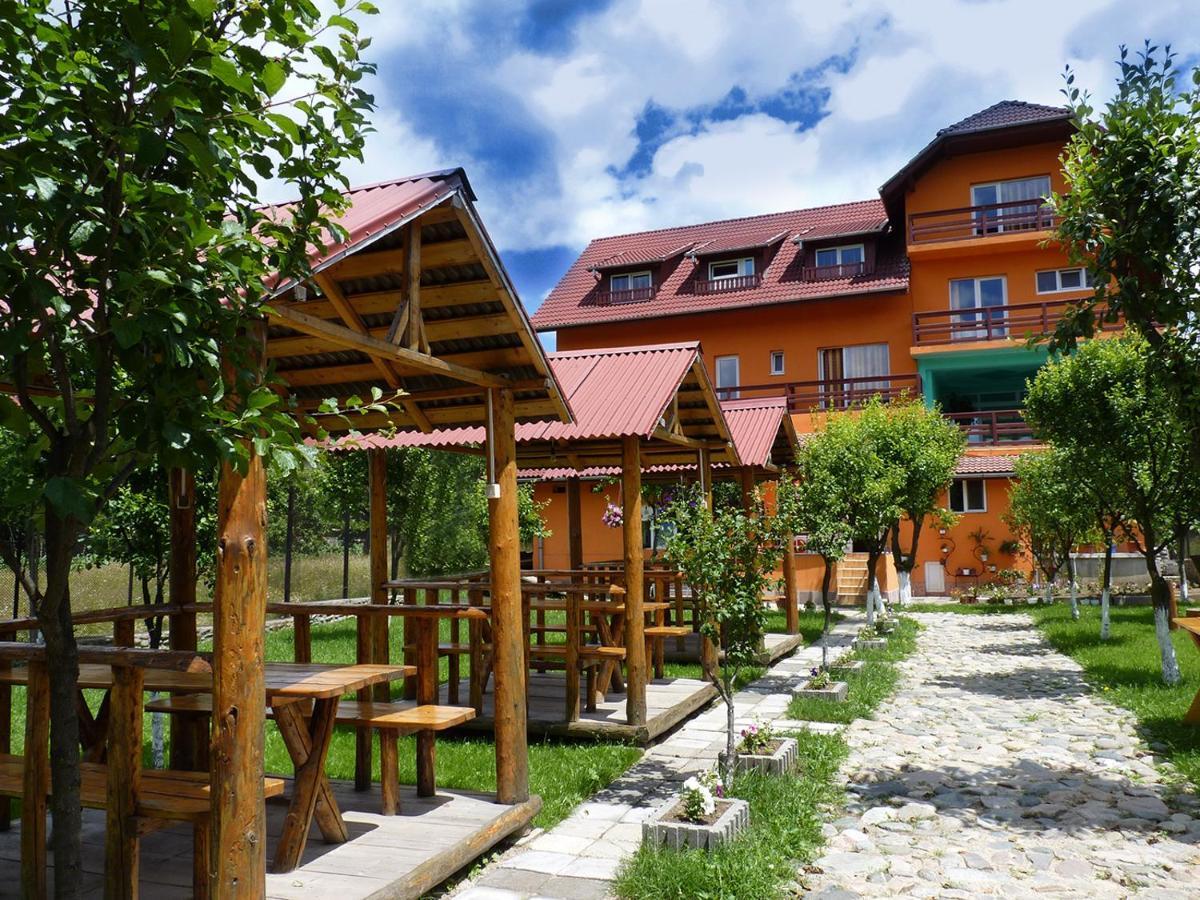 Floare De Colt Petrosani Hotell Exteriör bild