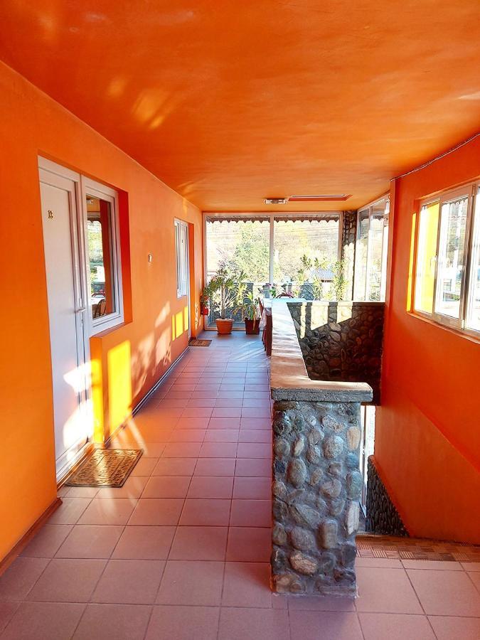 Floare De Colt Petrosani Hotell Exteriör bild