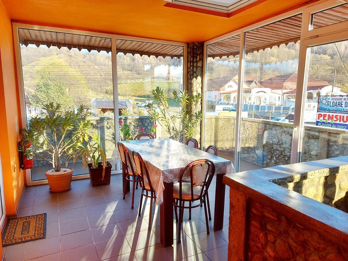 Floare De Colt Petrosani Hotell Exteriör bild