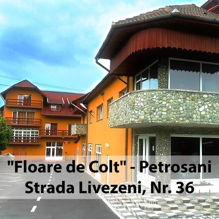 Floare De Colt Petrosani Hotell Exteriör bild
