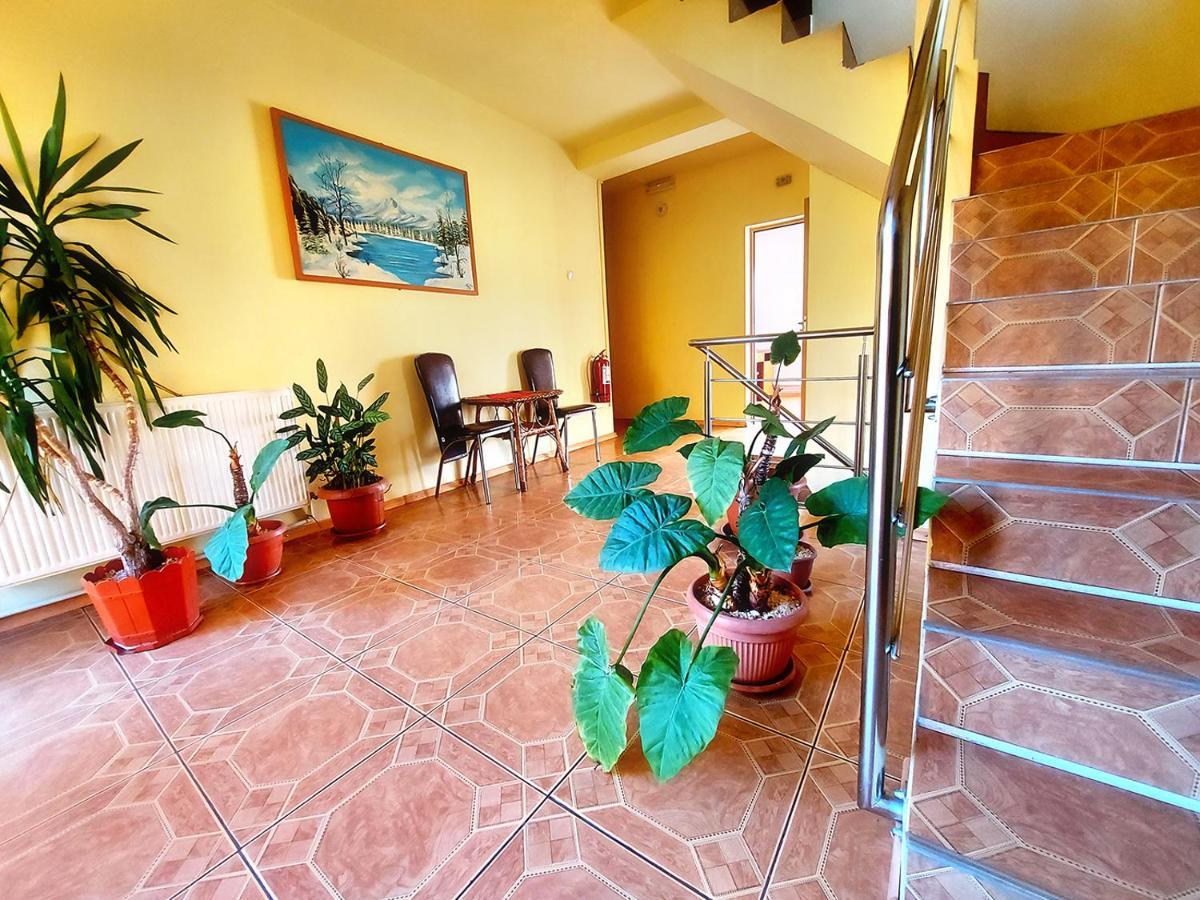 Floare De Colt Petrosani Hotell Exteriör bild